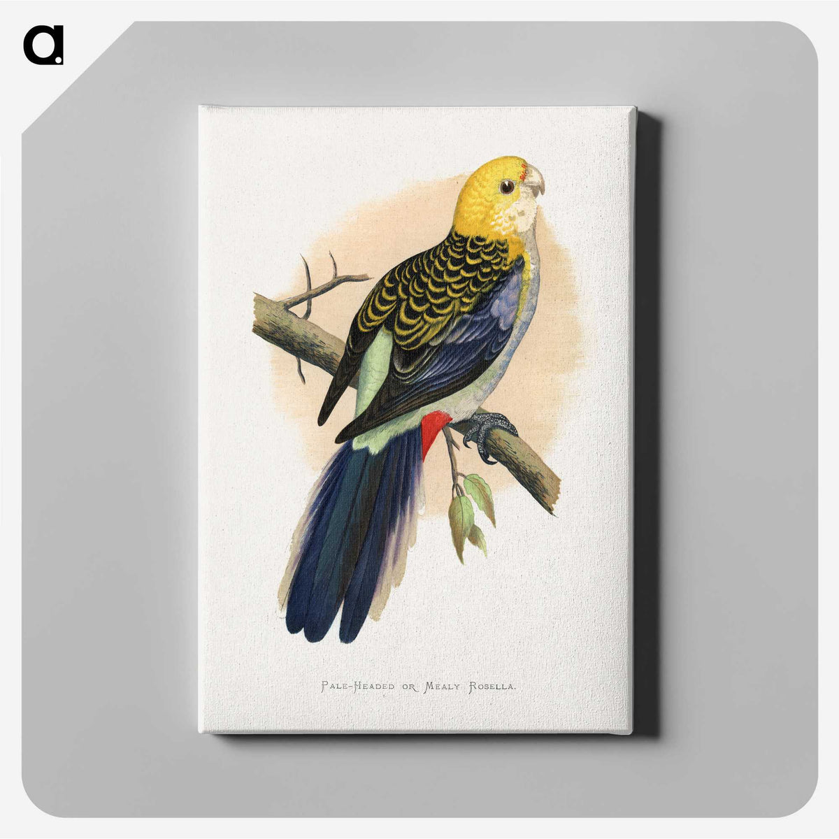 1-18_Parrots-in-Captivity_canvas