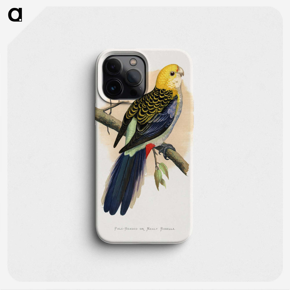 1-18_Parrots-in-Captivity_phone