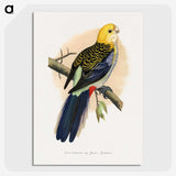 1-18_Parrots-in-Captivity_picture-crop