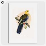 1-18_Parrots-in-Captivity_picture
