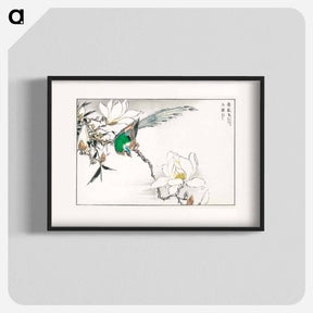 アートポスター-Chinese Tree Pipit and Magnolia
 - 鳥類図鑑 Poster.
