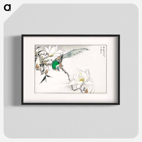 アートポスター-Chinese Tree Pipit and Magnolia
 - 鳥類図鑑 Poster.