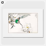 アートポスター-Chinese Tree Pipit and Magnolia
 - 鳥類図鑑 Poster.