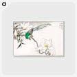 アートポストカード-Chinese Tree Pipit and Magnolia
 - 鳥類図鑑 Postcard.