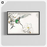 1-18_Pictorial-Monograph-of-Birds_blk-crop
