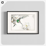 1-18_Pictorial-Monograph-of-Birds_blk