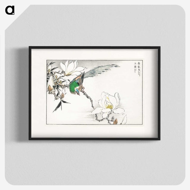 1-18_Pictorial-Monograph-of-Birds_blk