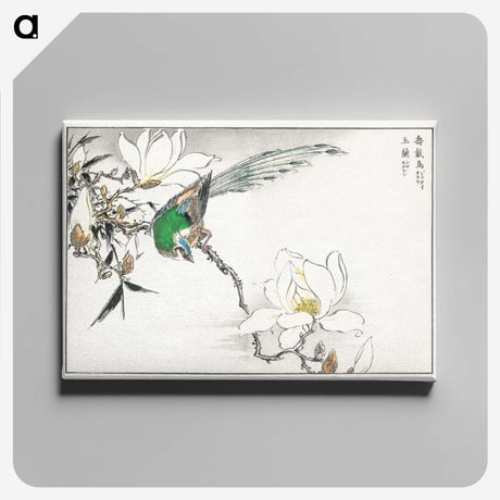 1-18_Pictorial-Monograph-of-Birds_canvas