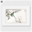 1-18_Pictorial-Monograph-of-Birds_picture