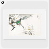 1-18_Pictorial-Monograph-of-Birds_picture