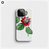 Passiflore Ailee - ピエール ジョゼフ ルドゥーテ Phone Case.