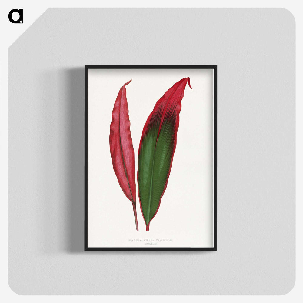 1-18_Plants-with-Colored-Foliage_blk-crop