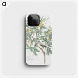 1-18_Robert-Jacob-Gordon_phone
