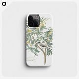 1-18_Robert-Jacob-Gordon_phone