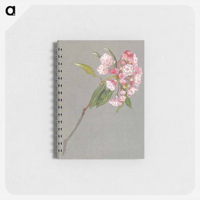 アートメモ帳-A Bough of Mountain Laurel with Leaves and Blossoms - サミュエル コールマン Memo.