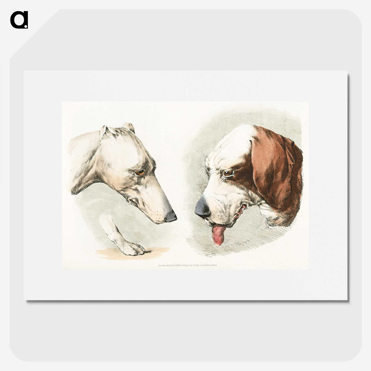 1-18_Sporting-Sketches_picture