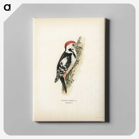 1-18_Svenska-Faglar_canvas