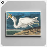 アートパネル-Great White Heron from Birds of America
 - アメリカの鳥たち Canvas.