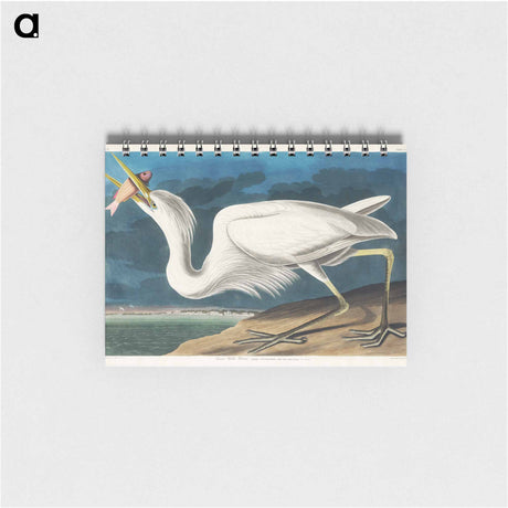 アートメモ帳-Great White Heron from Birds of America
 - アメリカの鳥たち Memo.