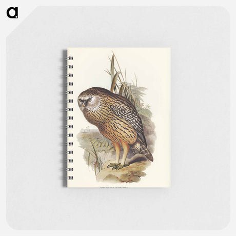 アートメモ帳-Wekau
 - オーストラリアの鳥 Memo.