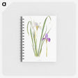 1-18_The-Genus-Iris_memo