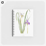 1-18_The-Genus-Iris_memo