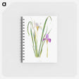 アートメモ帳-Iris Unguicularis The Genus Iris
 - アヤメ属 Memo.