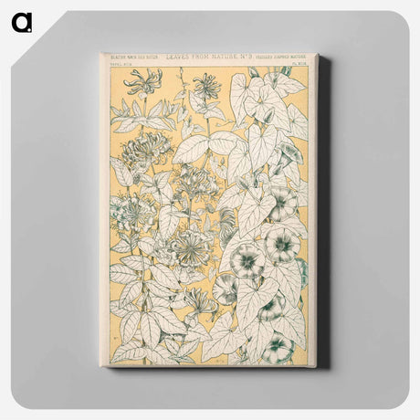 アートパネル-Grammar of Ornament Illustration
 - 装飾の文法 Canvas.