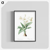 1-18_The-Lilies_blk-crop