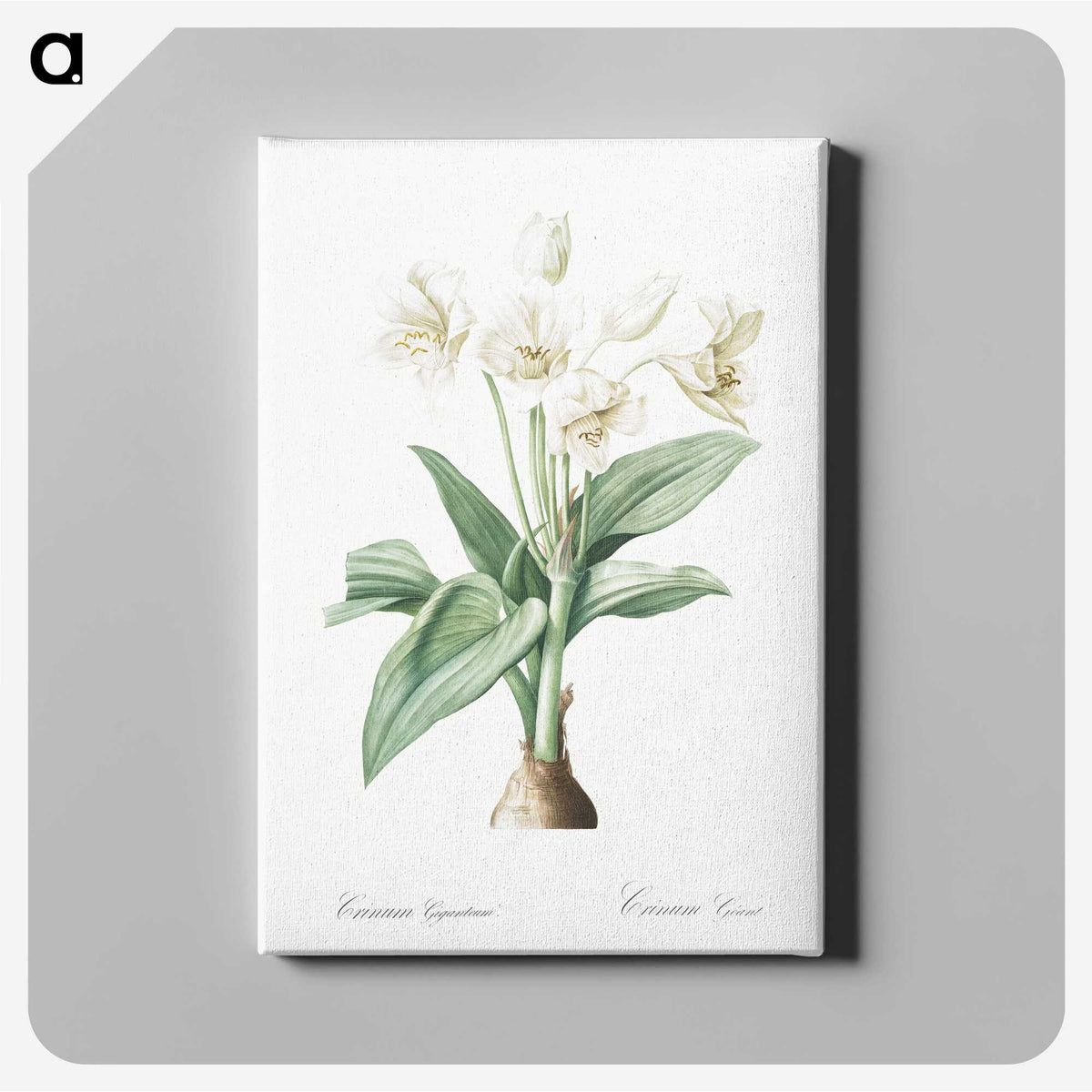1-18_The-Lilies_canvas