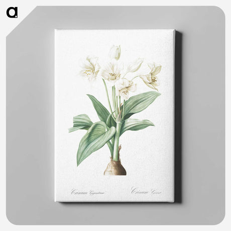 1-18_The-Lilies_canvas
