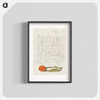 アートポスター-French Marigold from Mira Calligraphiae Monumenta
 - 書道のお手本 Poster.