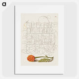 アートポスター-French Marigold from Mira Calligraphiae Monumenta
 - 書道のお手本 Poster.