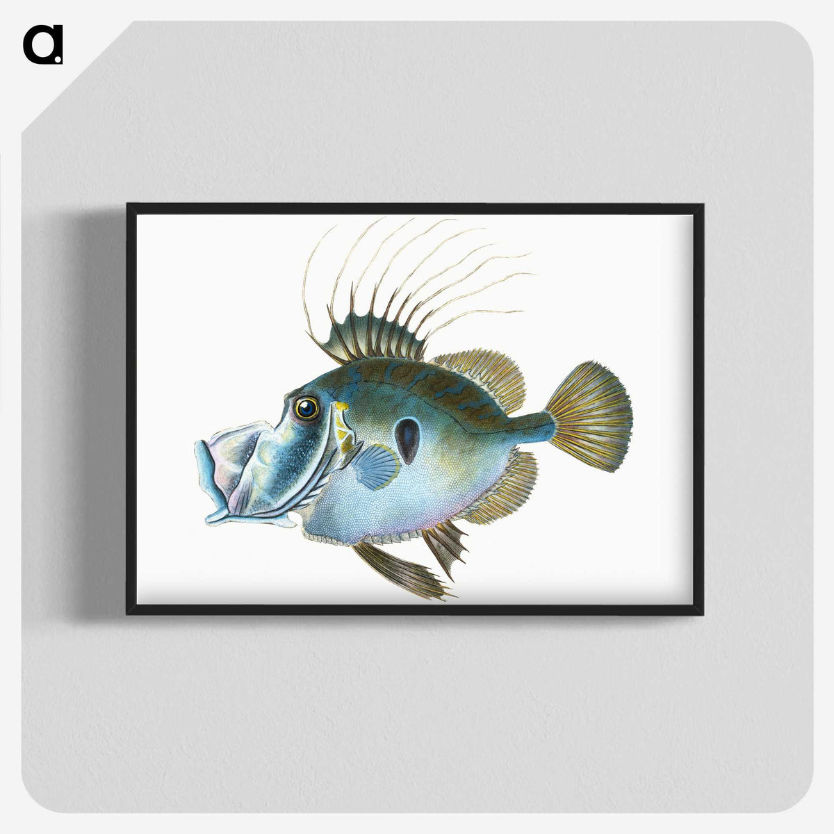 1-18_The-Natural-History-of-British-Fishes_blk-crop