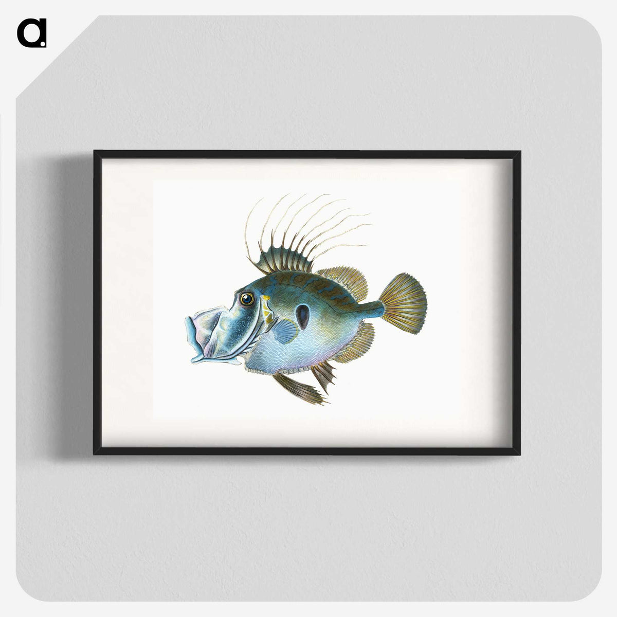1-18_The-Natural-History-of-British-Fishes_blk