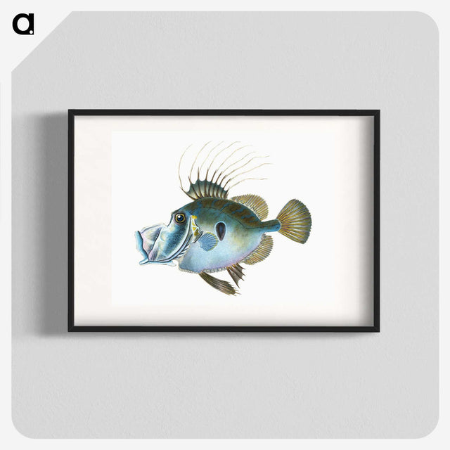 1-18_The-Natural-History-of-British-Fishes_blk