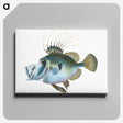 1-18_The-Natural-History-of-British-Fishes_canvas