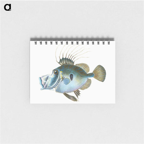 1-18_The-Natural-History-of-British-Fishes_memo