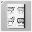 1-18_The-Open-Door-to-Independence_canvas