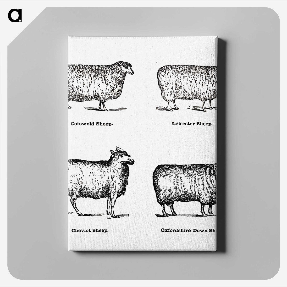 1-18_The-Open-Door-to-Independence_canvas