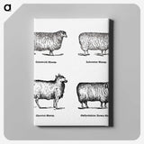 1-18_The-Open-Door-to-Independence_canvas