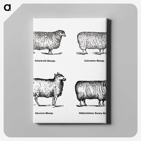 1-18_The-Open-Door-to-Independence_canvas