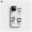 1-18_The-Open-Door-to-Independence_phone