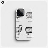 1-18_The-Open-Door-to-Independence_phone