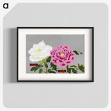 1-18_The-Picture-Book-of-Peonies_blk