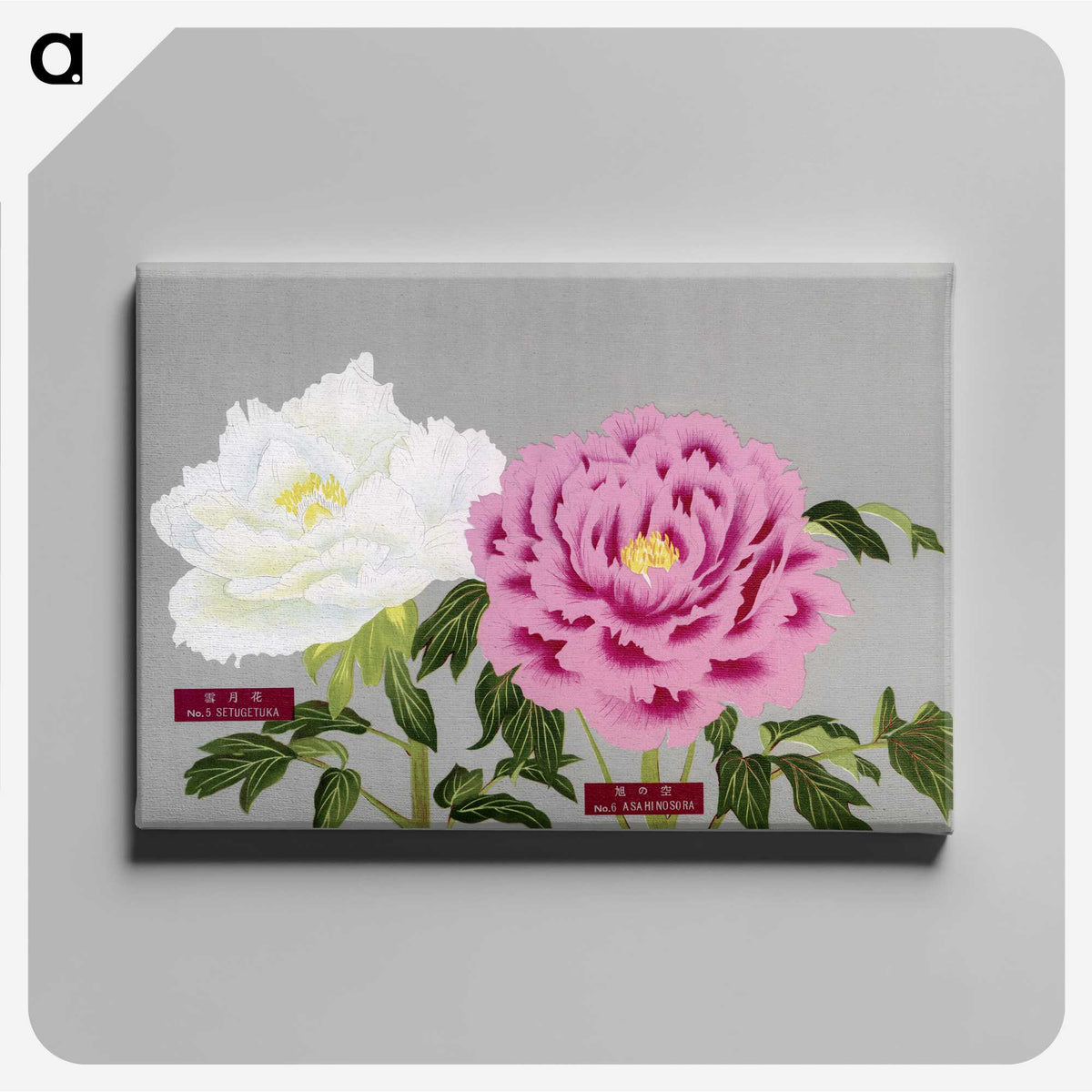 1-18_The-Picture-Book-of-Peonies_canvas