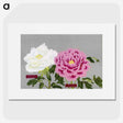 1-18_The-Picture-Book-of-Peonies_picture
