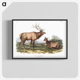 1-18_The-Viviparous-Quadrupeds_blk-crop