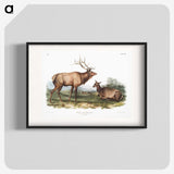 1-18_The-Viviparous-Quadrupeds_blk
