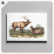 1-18_The-Viviparous-Quadrupeds_canvas